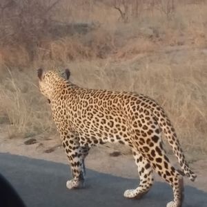 Meet your Posher, Aileen